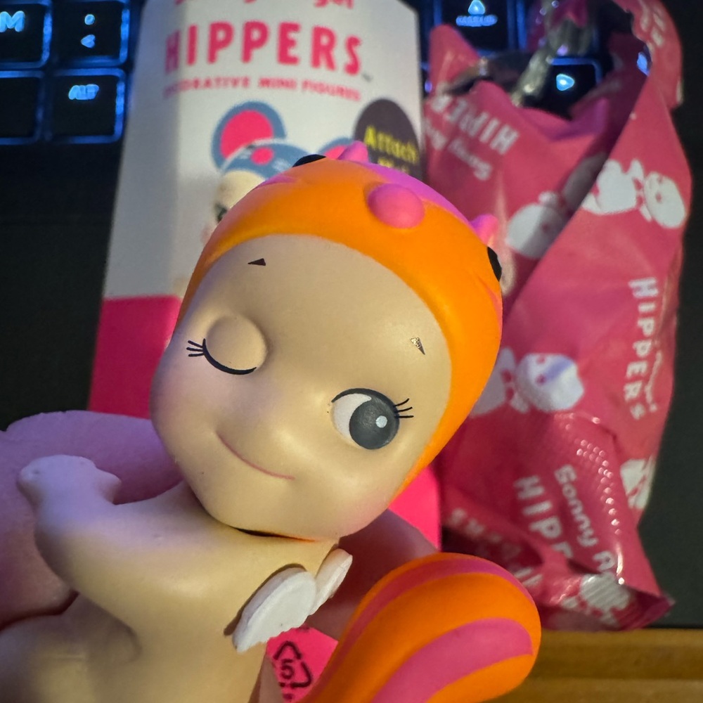 Sonny angel secret hipper